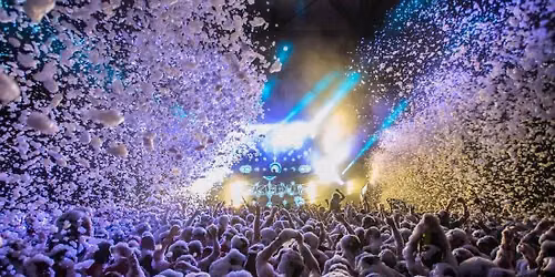 Foam Wonderland
