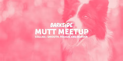 Mutt Meetup: Calling all Collies!