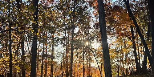 Ranger Guided Hike