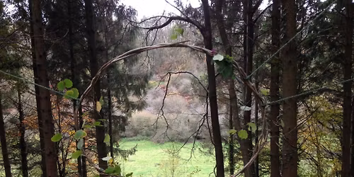 Nature, Craft, Connection - Taster Session