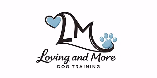 AKC Star puppy classes 