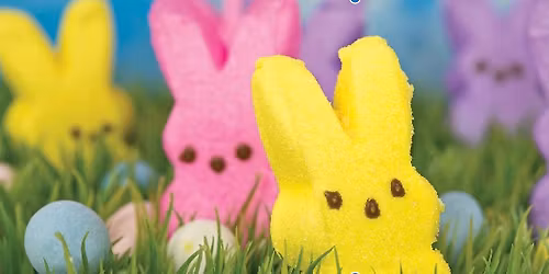 \ud83d\udc30\ud83c\udf38 Photos with the Easter Bunny \ud83c\udf38\ud83d\udc30 Hosted by The Willows at Bellevue