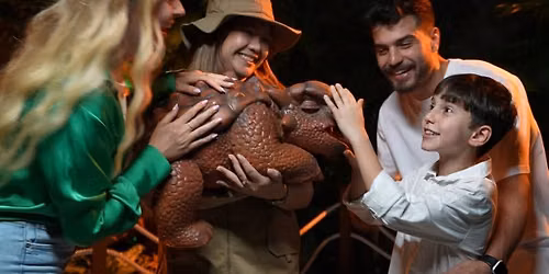 Dinosaurs: The Immersive Odyssey (B2B) - Timeless