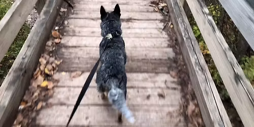 ACD monthly walk (Lake\/Geauga area)