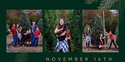 Christmas Tree Farm Mini Sessions