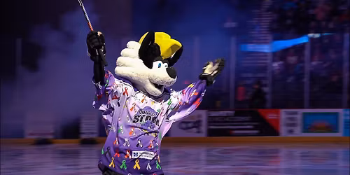 Quad City Storm vs. Peoria Rivermen