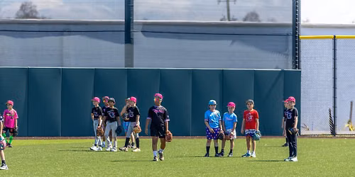 Baseball Clinics