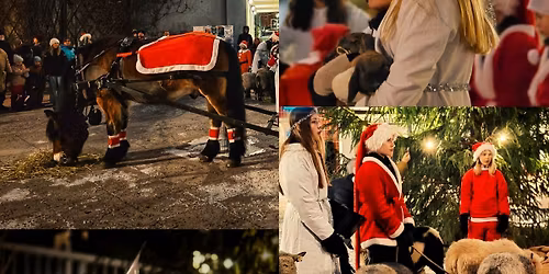 Julmarknad med luciat\u00e5g p\u00e5 4H i H\u00e4gersten 