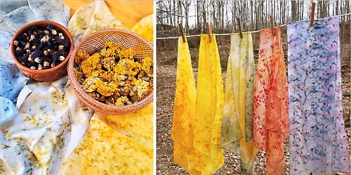 Natural Dye on Silk Workshop