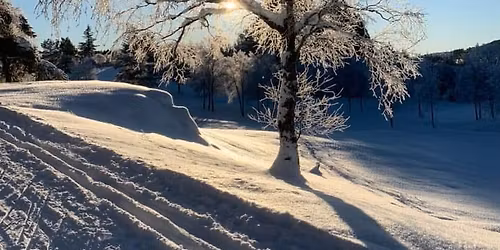 Haugalandsmesterskap p\u00e5 ski \u2744\ufe0f (dato ikke satt)