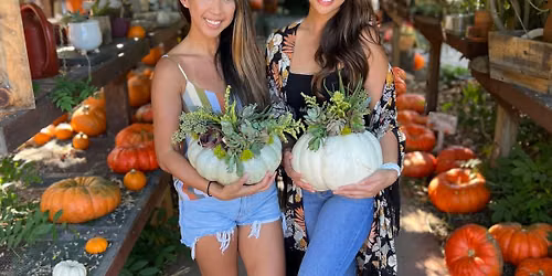 Succulent Pumpkin Workshop at The Flower Farm