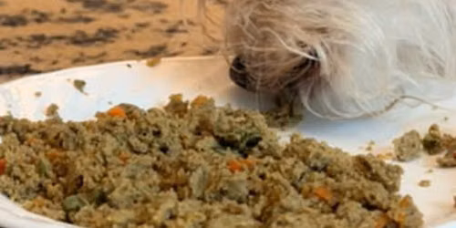 \ud83e\udd69 Topper Thursday - Glow-up your Kibble. \u2728