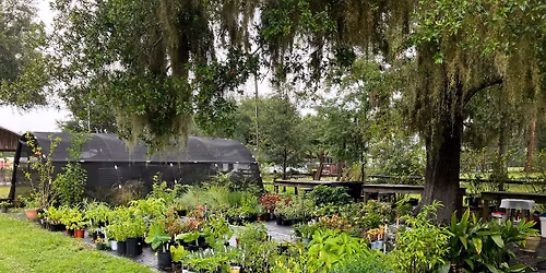 PLANT SALE 2026- UF\/IFAS Extension Clay County Master Gardener Volunteers