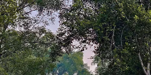 \u09b8\u09c1\u09a8\u09cd\u09a6\u09b0\u09ac\u09a8 \u099f\u09cd\u09af\u09c1\u09b0