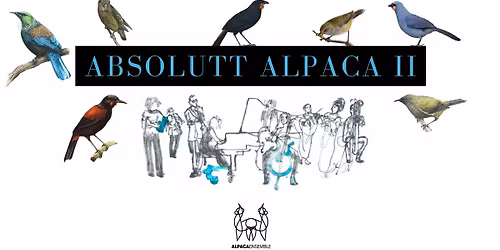 Absolutt Alpaca II