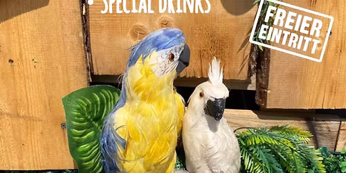 K\u00e4the\u00b4s JUNGLE RAVE - So 12.04.2026 - Tagesopenair - Deep House & Techno Music - Eintritt frei 