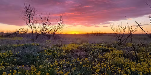 New Hope Fellowship Craft Fair