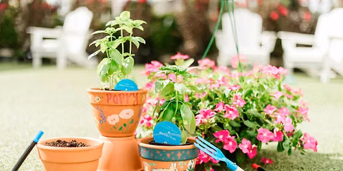 Kid's Workshop: Paint Pot & Plant