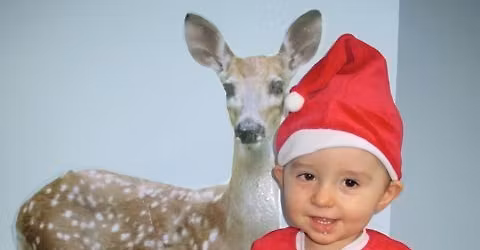 WeihnachtsNachmittagsKonzert Stuttgart