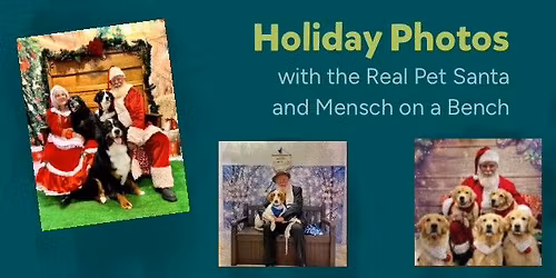 Holiday Photos with the Real Pet Santa\/ Mensch on a Bench New Britain