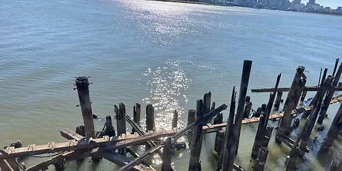 Lynn Drury plays Tigermen Den 