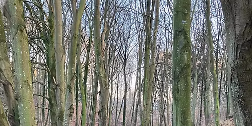 Illerup \u00e5dal, offermosen og Borgmesterskoven ca 9 km