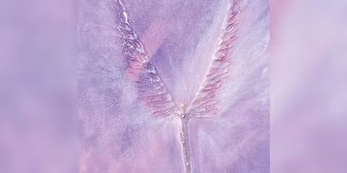 Everyday Angels with Alison Knox