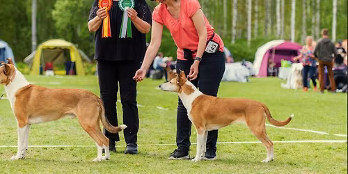 Huhtikuun n\u00e4yttelytreenit Tampereella