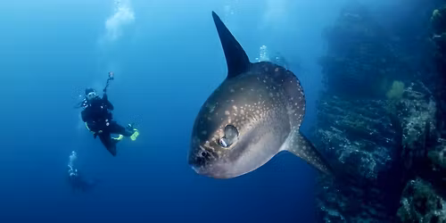 Bali 3 day adventure August 2026