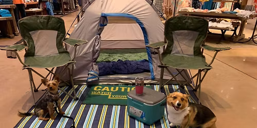 Refined Canines in the REAL WORLD - Bridgeport CT