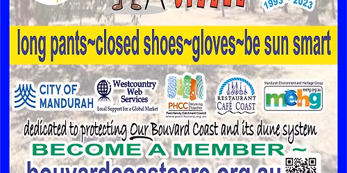 Tims Thicket Cleanup