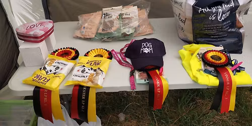 Offisielt lydighetsstevne