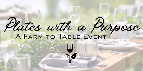 Plates with a Purpose