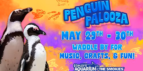 Penguin Palooza