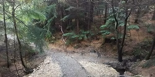 Mountain Bike Trail Building - Hamsterley Forest 