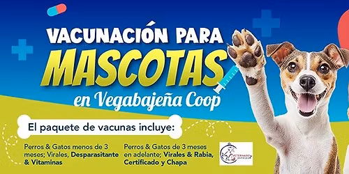 Vacunación de Mascotas