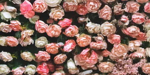 Suu in \u6771\u4eac\u90fd