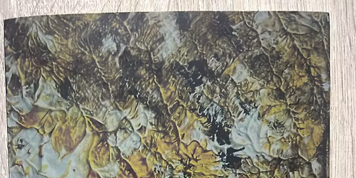 Sess\u00e3o de aut\u00f3grafos do livro Por que ler Clarice Lispector e outros ensaios 