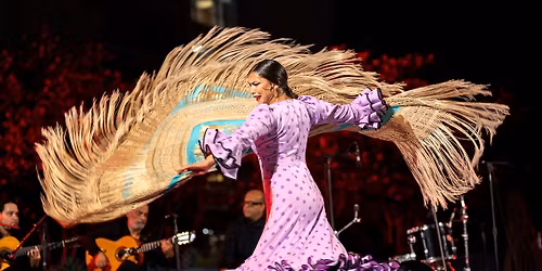 Jes\u00fas Mu\u00f1oz Flamenco