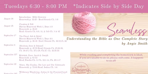 Beginning Bible Study- Seamless