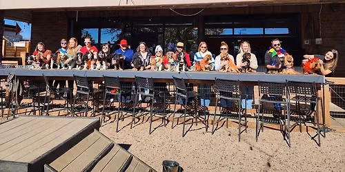 August Cavalier Meet-Up