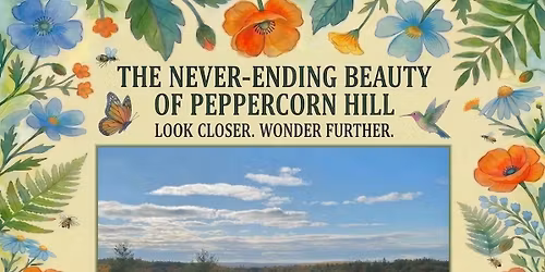 Peppercorn Presentation: The Never-ending Beauty of Peppercorn Hill