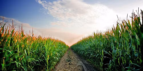 BASF Consultant Symposium