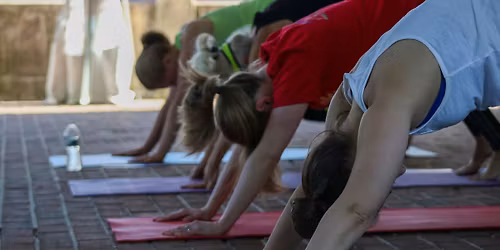 Yoga on the Magnolia Terrace-Indoor Season