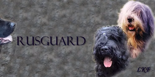 RUSGUARD CLUB SHOW