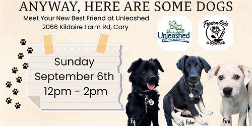 Anyway, Here are Some Dogs - at Unleashed Cary