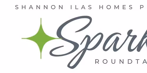 The Spark Roundtable Networking Meeting and Photography That Pops Workshop