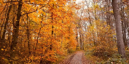 Westmoreland State Park Presents