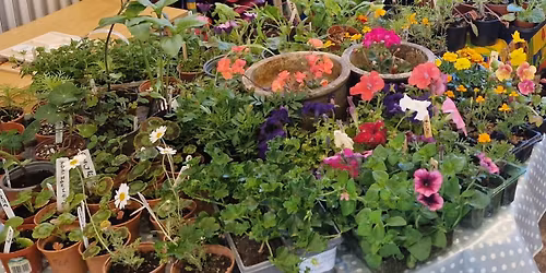 The Peninsula Garden Society Annual Plant Sale
