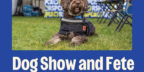 Paws in the Park